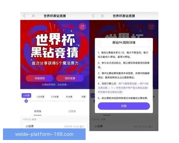 世界杯竞猜VIP福利大放送尊享专属特权尽享丰厚奖励